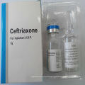 Best and Low Price Ceftriaxone Sodium Injection Ceftriaxone